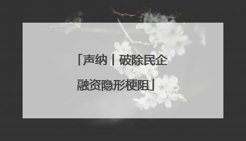 声纳丨破除民企融资隐形梗阻