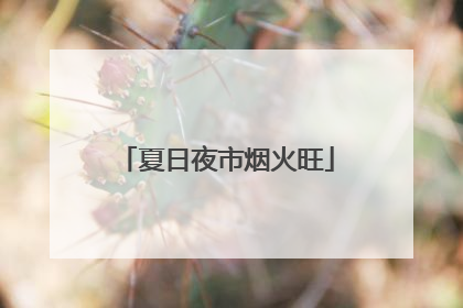 夏日夜市烟火旺