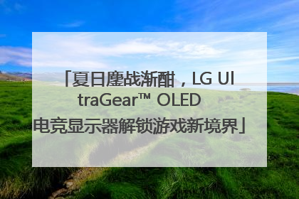 夏日鏖战渐酣，LG UltraGear™ OLED电竞显示器解锁游戏新境界