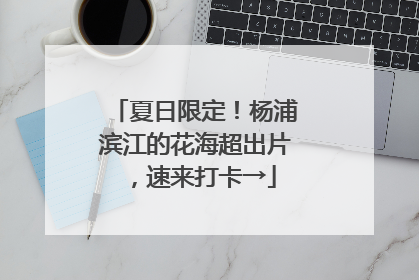 夏日限定！杨浦滨江的花海超出片，速来打卡→