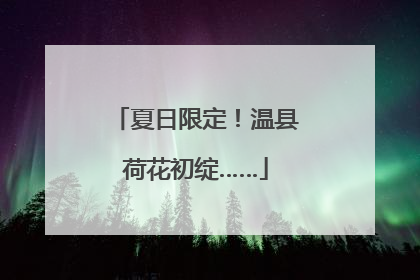 夏日限定！温县荷花初绽……