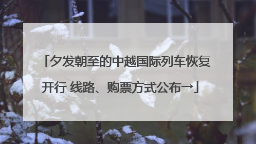 夕发朝至的中越国际列车恢复开行 线路、购票方式公布→