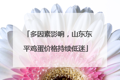 多因素影响，山东东平鸡蛋价格持续低迷