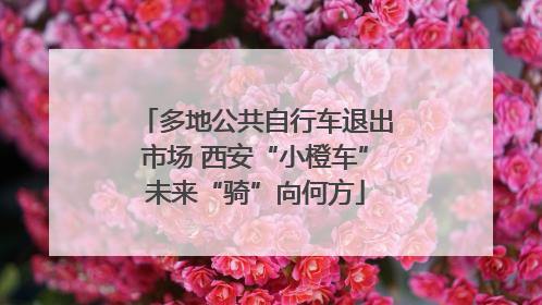 多地公共自行车退出市场 西安“小橙车”未来“骑”向何方