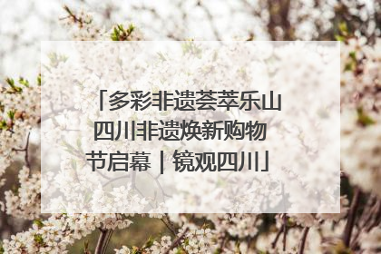 多彩非遗荟萃乐山 四川非遗焕新购物节启幕｜镜观四川