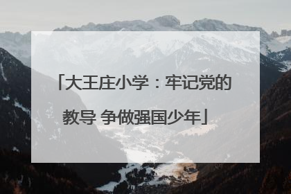 大王庄小学：牢记党的教导 争做强国少年