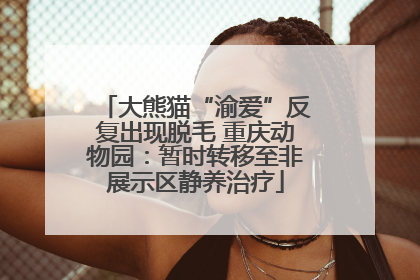 大熊猫“渝爱”反复出现脱毛 重庆动物园：暂时转移至非展示区静养治疗
