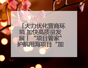 大力优化营商环境 加快高质量发展丨“项目管家”护航用海项目“加速跑”