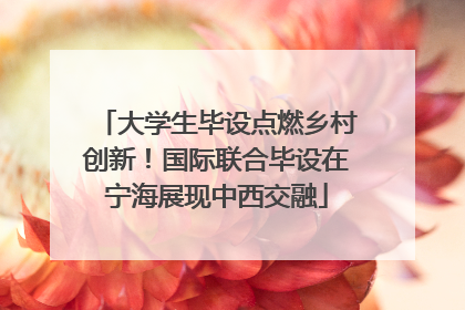 大学生毕设点燃乡村创新！国际联合毕设在宁海展现中西交融