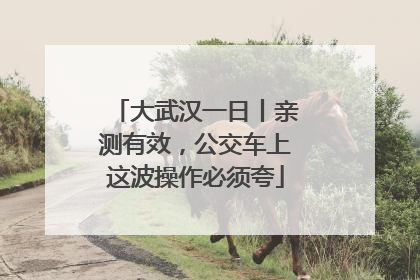 大武汉一日丨亲测有效，公交车上这波操作必须夸
