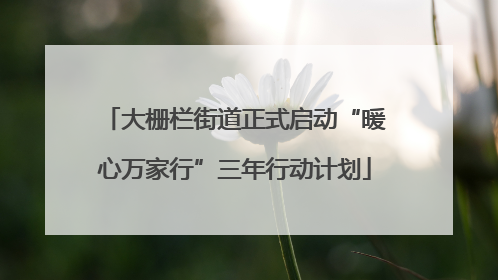 大栅栏街道正式启动“暖心万家行”三年行动计划