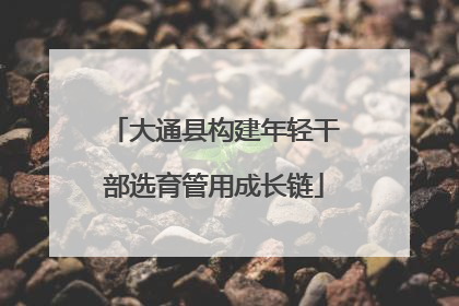大通县构建年轻干部选育管用成长链