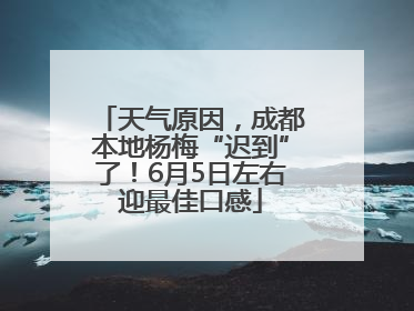 天气原因，成都本地杨梅“迟到”了！6月5日左右迎最佳口感
