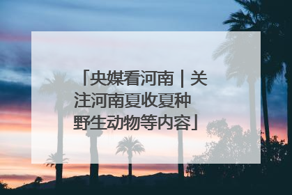 央媒看河南｜关注河南夏收夏种 野生动物等内容