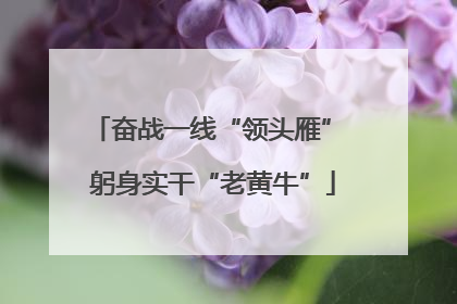 奋战一线“领头雁” 躬身实干“老黄牛”