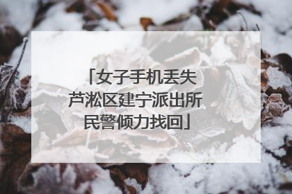 女子手机丢失 芦淞区建宁派出所民警倾力找回