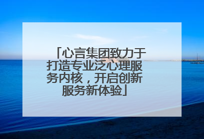 心言集团致力于打造专业泛心理服务内核，开启创新服务新体验
