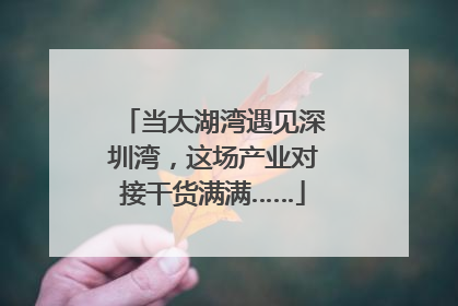当太湖湾遇见深圳湾，这场产业对接干货满满……