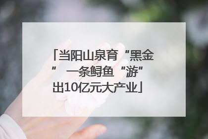 当阳山泉育“黑金” 一条鲟鱼“游”出10亿元大产业