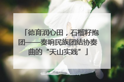 德育润心田，石榴籽抱团——奏响民族团结协奏曲的“天山实践”