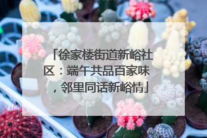 徐家楼街道新峪社区：端午共品百家味，邻里同话新峪情