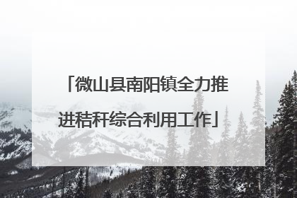 微山县南阳镇全力推进秸秆综合利用工作