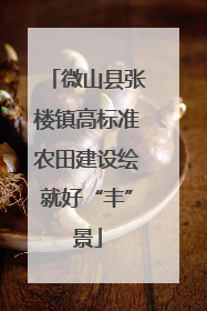 微山县张楼镇高标准农田建设绘就好“丰”景