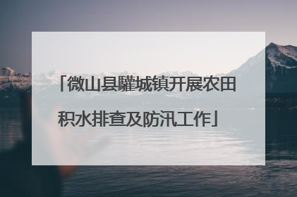 微山县驩城镇开展农田积水排查及防汛工作
