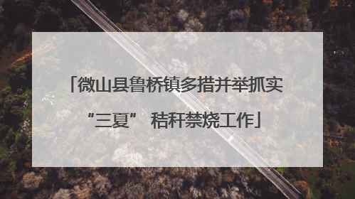 微山县鲁桥镇多措并举抓实 “三夏” 秸秆禁烧工作