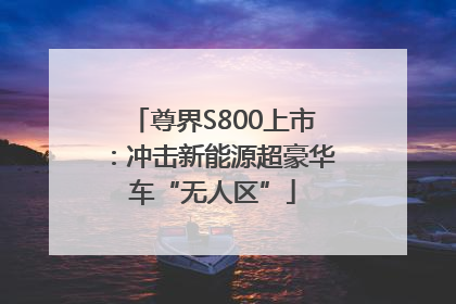 尊界S800上市：冲击新能源超豪华车“无人区”