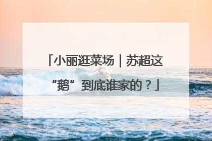 小丽逛菜场｜苏超这“鹅”到底谁家的？