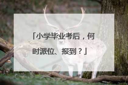 小学毕业考后，何时派位、报到？