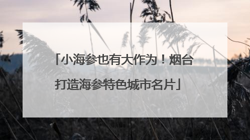 小海参也有大作为！烟台打造海参特色城市名片