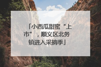 小西瓜甜蜜“上市”，顺义区北务镇进入采摘季