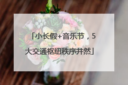 小长假+音乐节，5大交通枢纽秩序井然