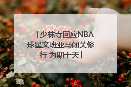 少林寺回应NBA球星文班亚马闭关修行 为期十天