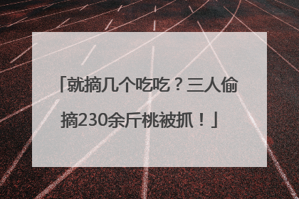 就摘几个吃吃？三人偷摘230余斤桃被抓！
