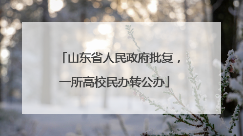 山东省人民政府批复，一所高校民办转公办