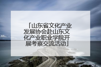 山东省文化产业发展协会赴山东文化产业职业学院开展考察交流活动