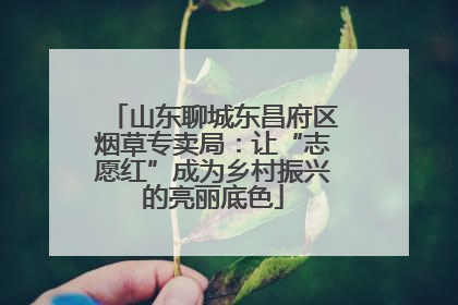山东聊城东昌府区烟草专卖局：让“志愿红”成为乡村振兴的亮丽底色