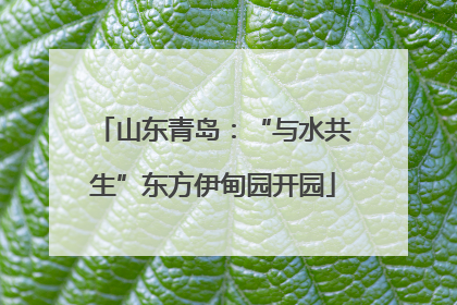山东青岛：“与水共生”东方伊甸园开园