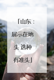 山东：展示在地头 选种有准头