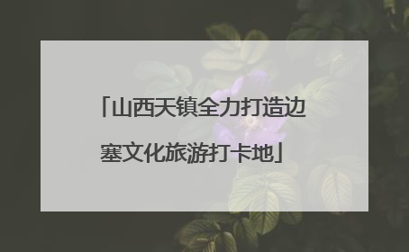 山西天镇全力打造边塞文化旅游打卡地