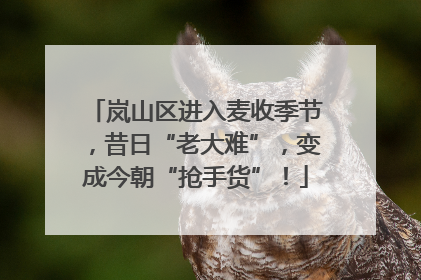岚山区进入麦收季节，昔日“老大难”，变成今朝“抢手货”！