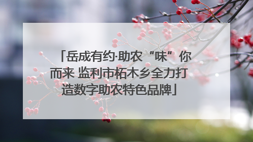 岳成有约·助农“味”你而来 监利市柘木乡全力打造数字助农特色品牌
