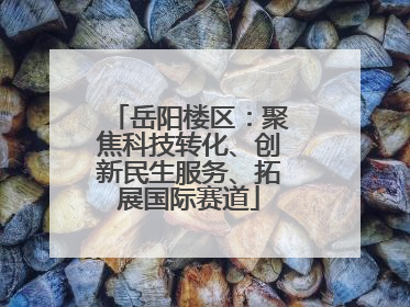 岳阳楼区：聚焦科技转化、创新民生服务、拓展国际赛道