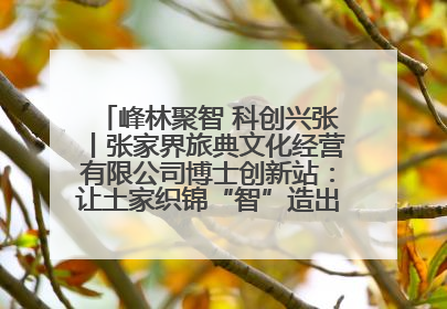 峰林聚智 科创兴张丨张家界旅典文化经营有限公司博士创新站：让土家织锦“智”造出非遗新传奇