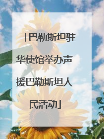 巴勒斯坦驻华使馆举办声援巴勒斯坦人民活动