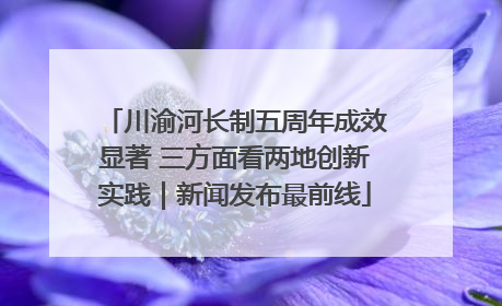 川渝河长制五周年成效显著 三方面看两地创新实践｜新闻发布最前线