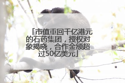 市值重回千亿港元的石药集团，授权对象揭晓，合作金额超过50亿美元